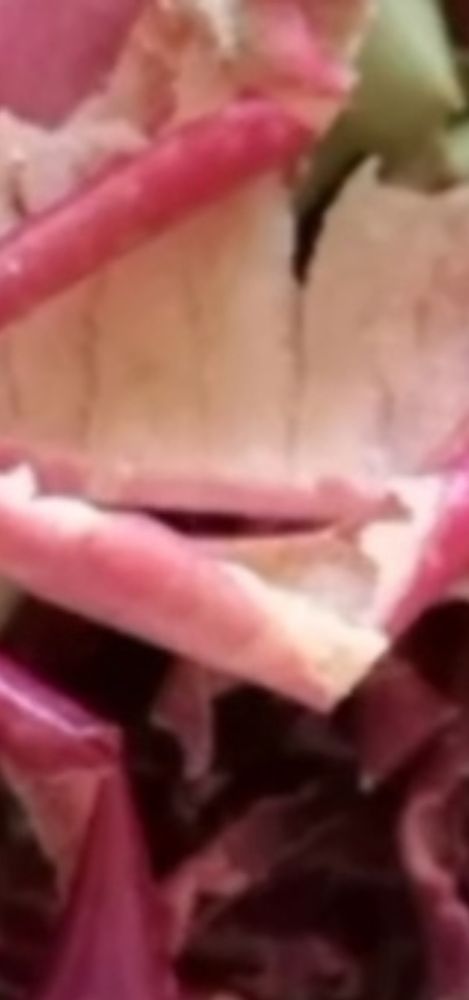 fruitpeels 