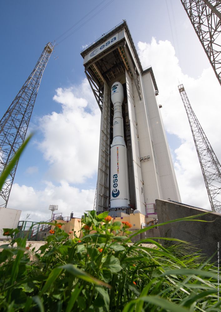 Vega rocket in Mobile Gantry building, backed by blue skies, flowers with greenery in foreground.