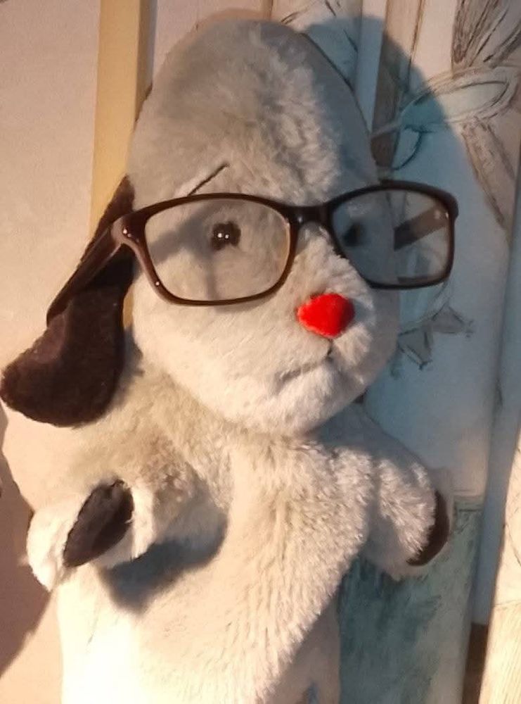 Sweep hand puppet (of Sooty and Sweep) wearing glasses.