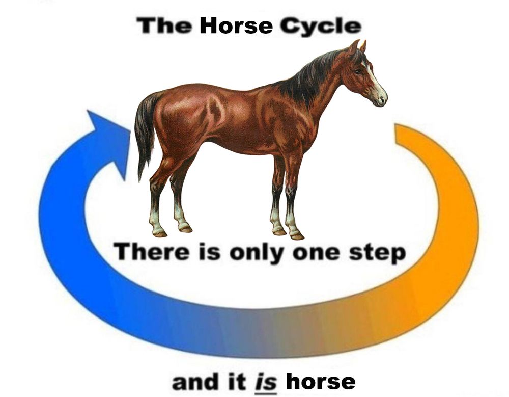 This is a diagram of The Horse Cycle. It shows an arrow in the shape of a circle pointing from the horse's mouth around its body to its butt. The text says "there is only one step and it IS horse" 