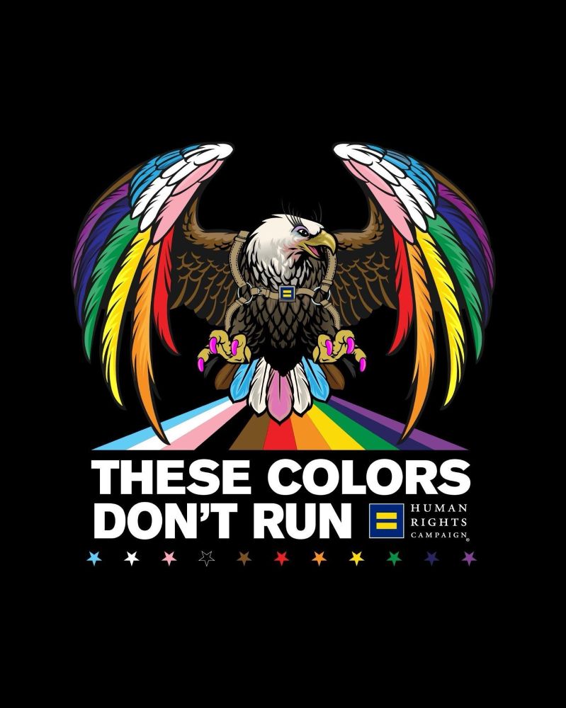 THESE COLORS DON'T RUN
with an eagle in pride colors