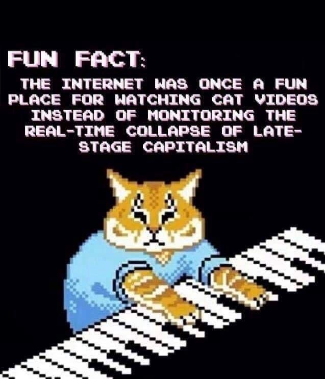 FUN FACT:
THE INTERNET WAS ONCE A FUN PLACE FOR WATCHING CAT VIDEOS
INSTEAD OF MONITORING THE REAL-TIME COLLAPSE OF LATE-STAGE CAPITALISM