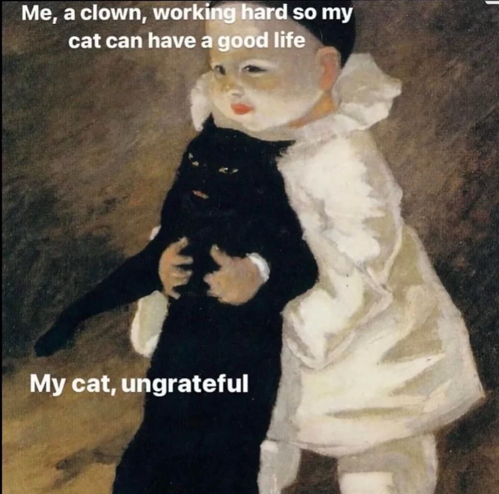 Me, a clown, working hard so my cat can have a good life
My cat, ungrateful
