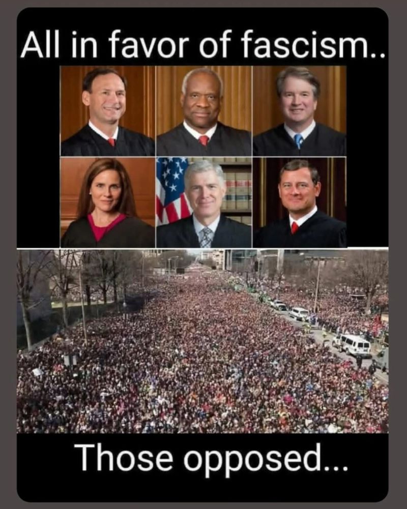 All in favor of fascism.. (Supreme Court) 
Those opposed... the streets 