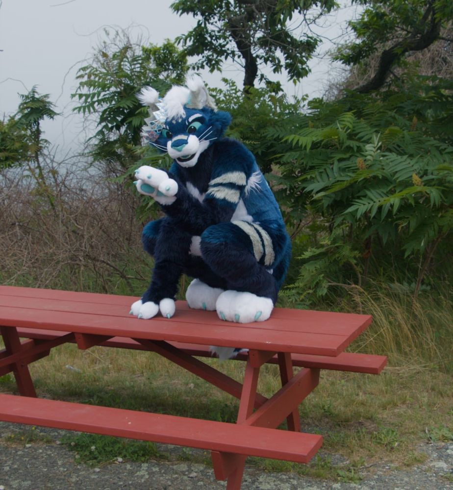 Blue cat fursuiter sitting on top of a red bench by the sea