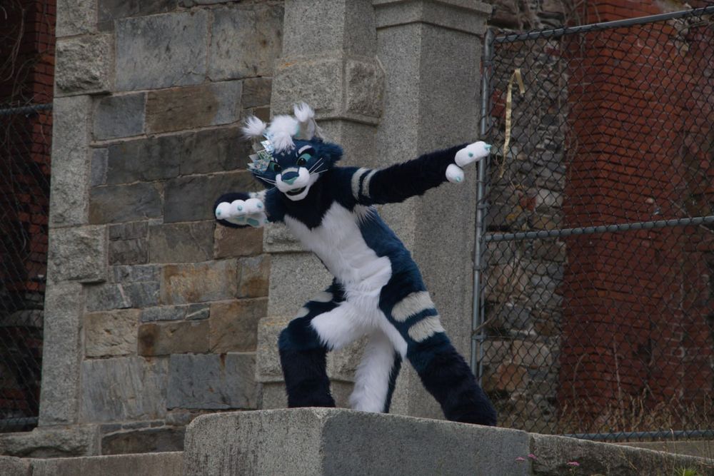 Cat fursuits totally not dabbing in front of gold historical fort off the coast of Maine 