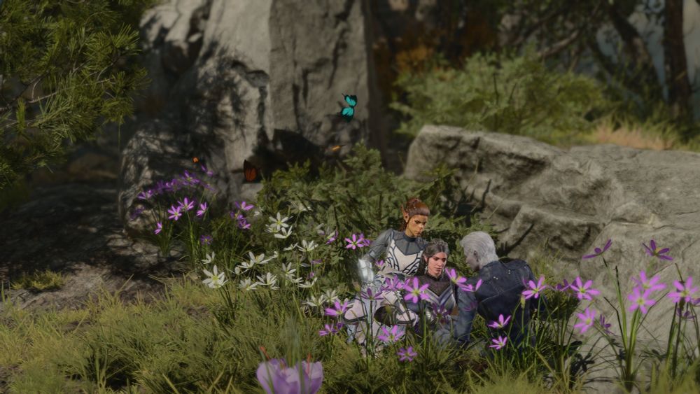 A virtual photograph in Baldur’s Gate 3. A wide shot of Lae’zel (a Githyanki woman with auburn hair and wearing armour), Shadowheart (a half-elf woman with dark hair and wearing armour) and Keldan (a drow man wearing leather armour) spend time together among flowers on a sunny day. Butterflies fly overhead.