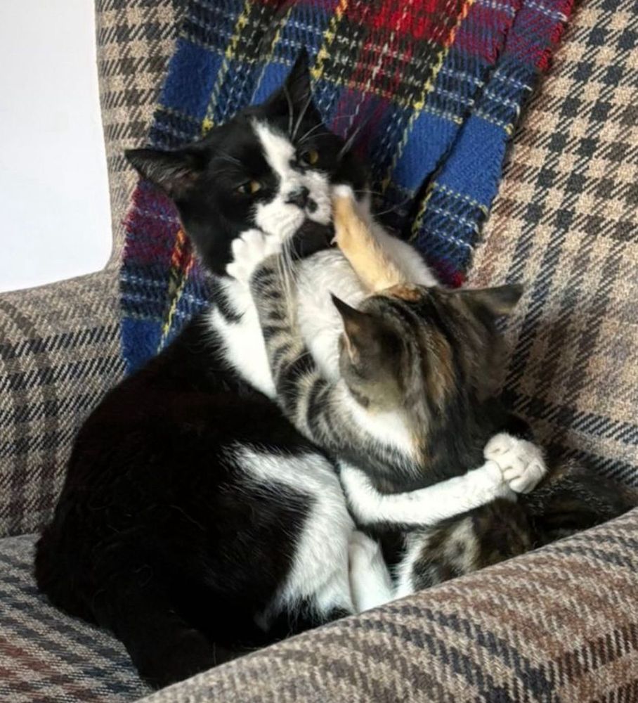 Be smooshed by the baby