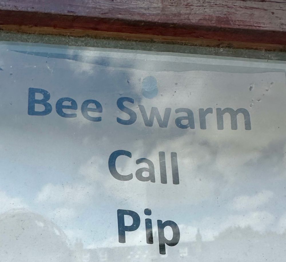 A printed sign on the allotment notice board which just says “Bee Swarm”, new line, “Call”, new line, “Pip”