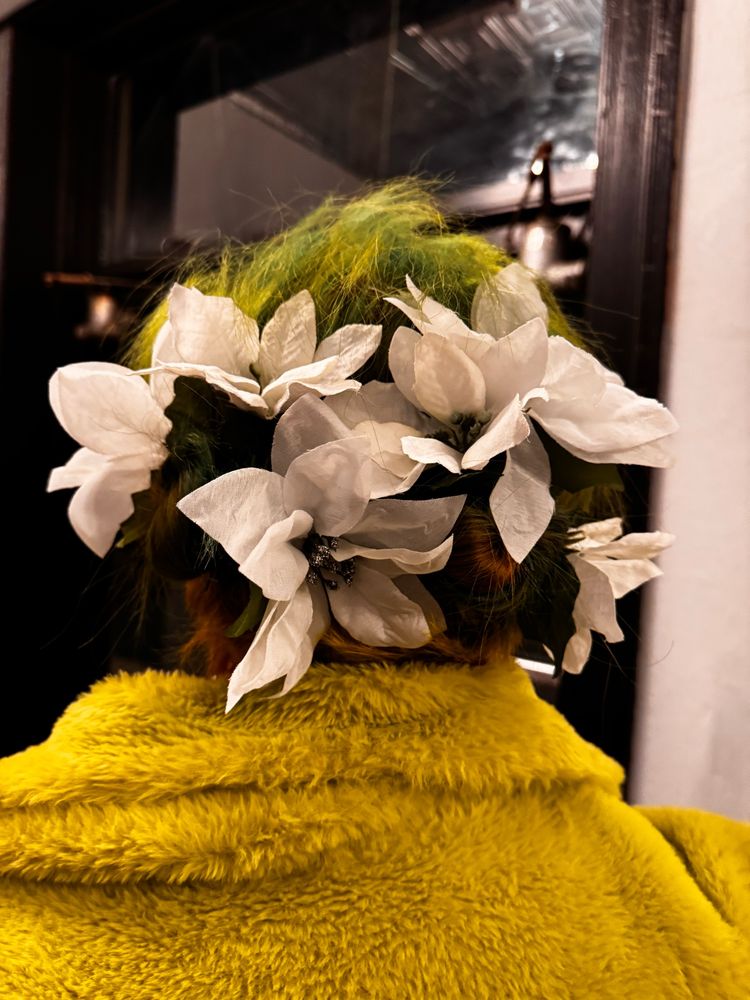 White pointsettas pinned into my green hair. 
