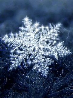 a close up of a snowflake with the name jason on the bottom left