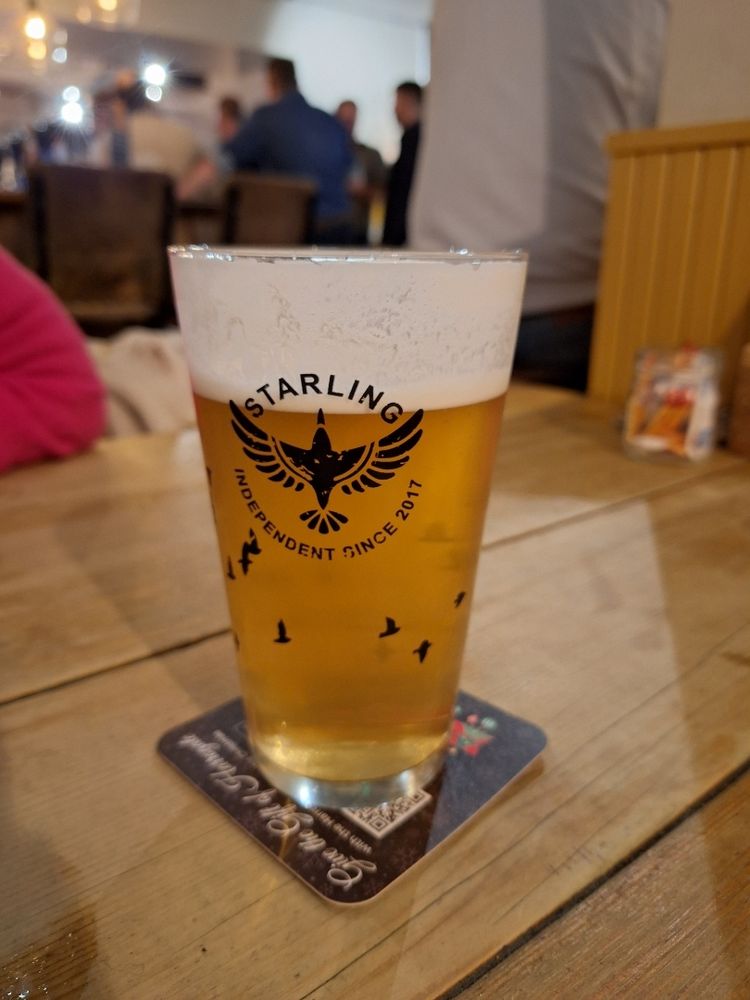 A cool and refreshing pint of Verdant's Penpol