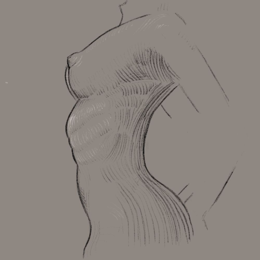 A sketch on a light toned background, digital brush mimicking graphite to render a feminine body at the side profile