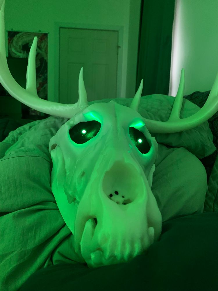 my new skull head mask for mon valley