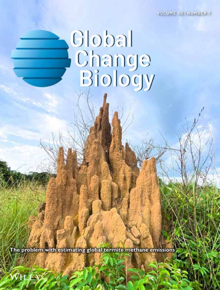 Soil N2O emissions during dry fallow periods