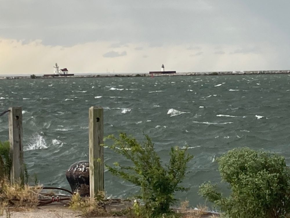 Photo of an overgrown pavement, choppy waters, a distant lighthouse, and a grey sky.