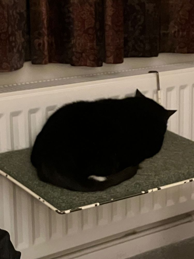 A cat curled up asleep on a radiator shelf.
