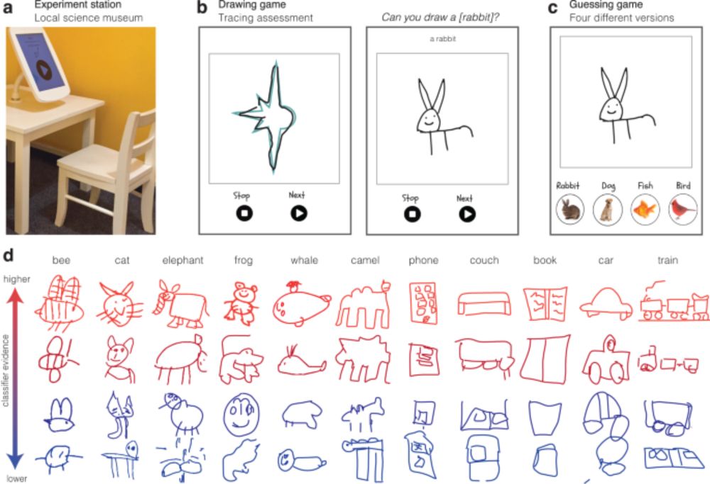 Parallel developmental changes in children’s production and recognition of line drawings of visual concepts - Nature Communications