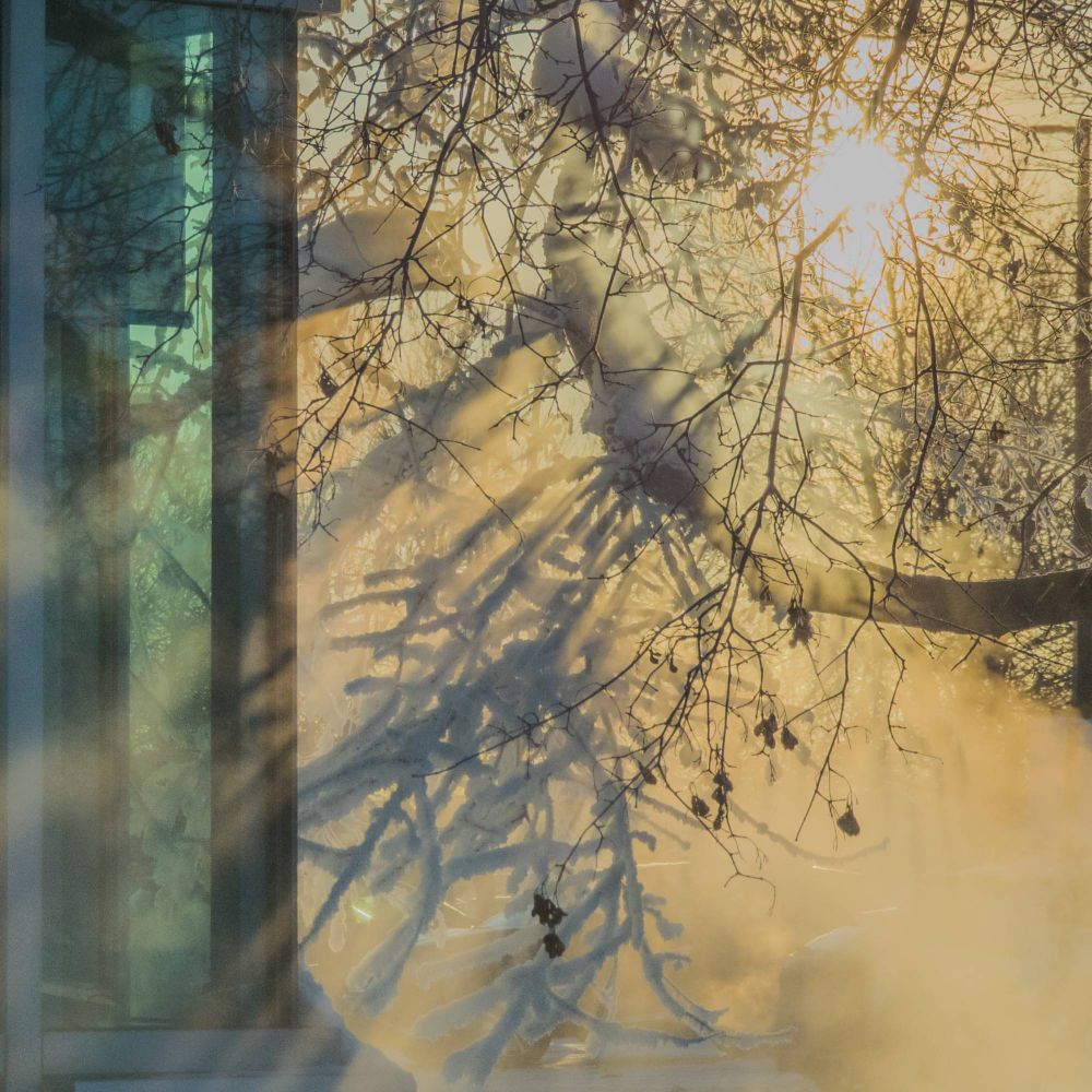 Frigid scene with snow and cold light.
