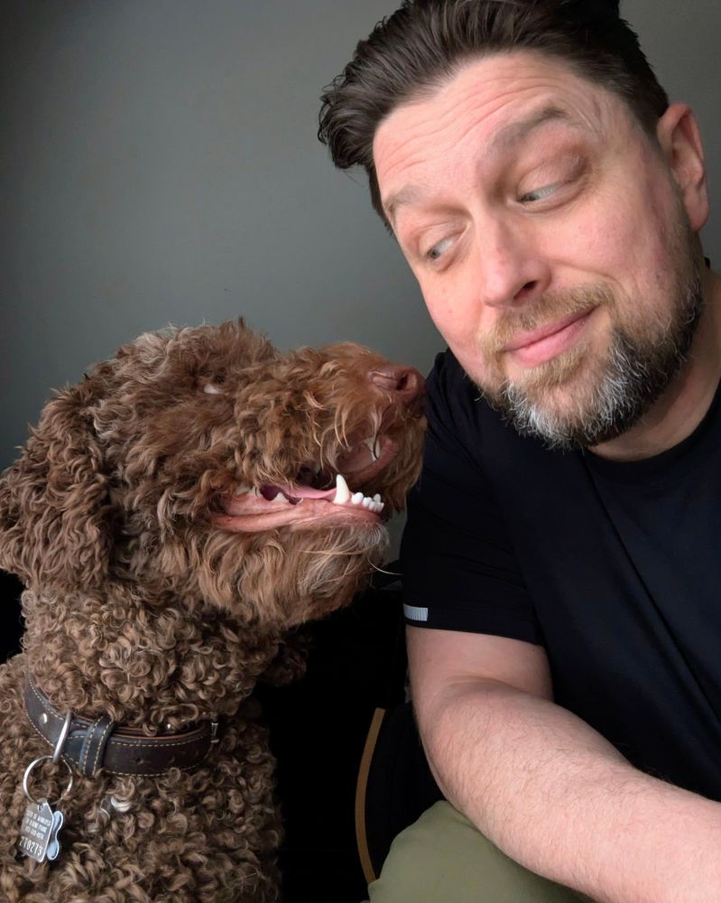 Chocolate Labradoodle plots shenanigans, while the owner looks on.