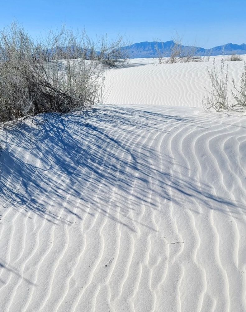 Wavy pattern in sand dunes in foreground with sparse weedy plants in mid ground finishing with mountains in background. The White Sands National Park sand in NM is white due to the sand being made from gypsum.