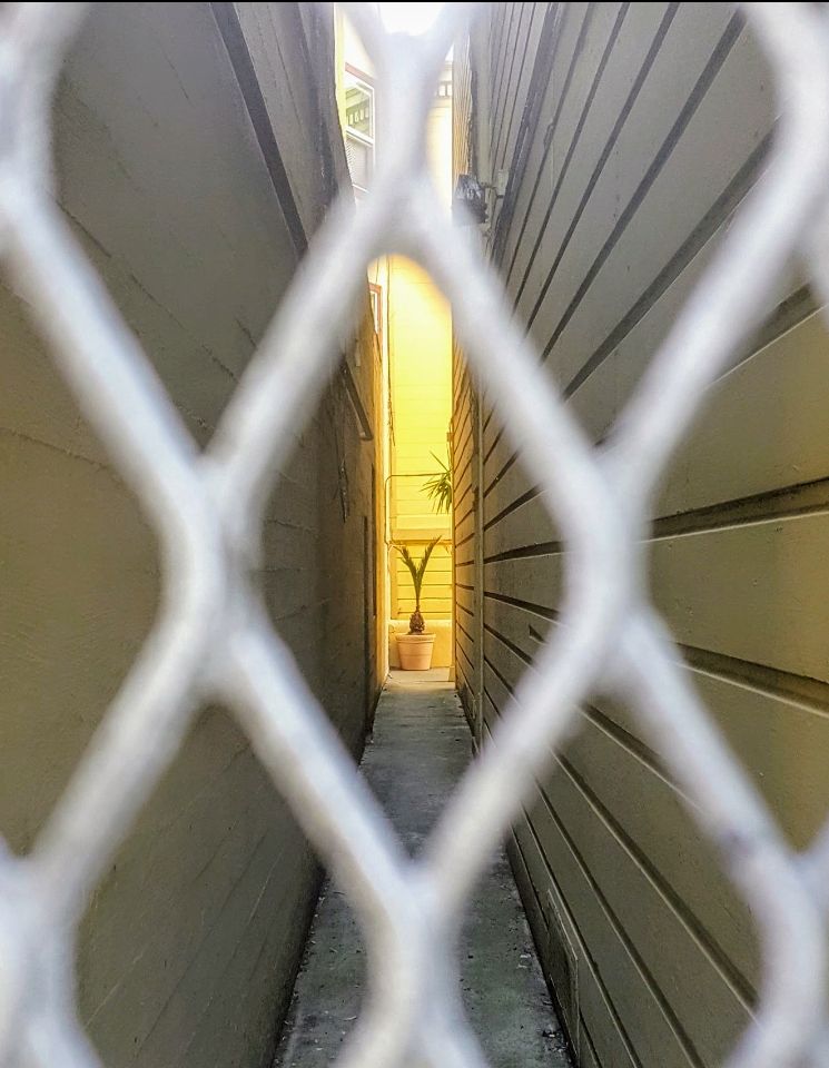 Looking through a metal grate door down a narrow alley between houses in San Francisco.
