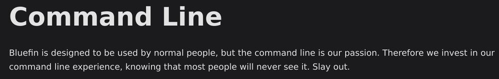Bluefin is designed to be used by normal people, but the command line is our passion. Therefore we invest in our command line experience, knowing that most people will never see it. Slay out.