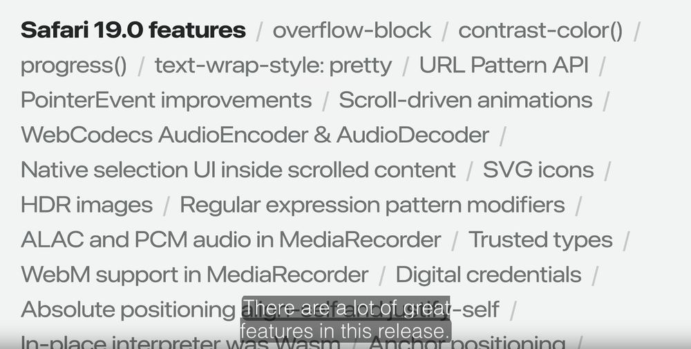Screenshot from a slide mentioning Safari 19.0