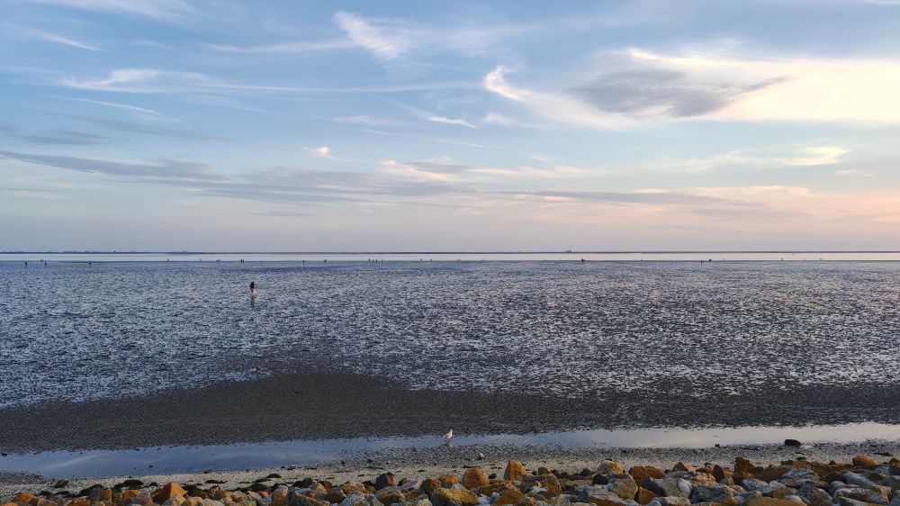 Foto von der Ebbe