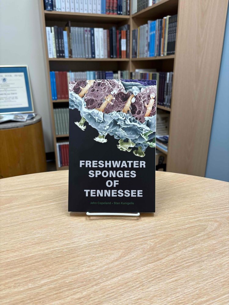 FRESHWATER SPONGES OF TENNESSEE displayed in paperback