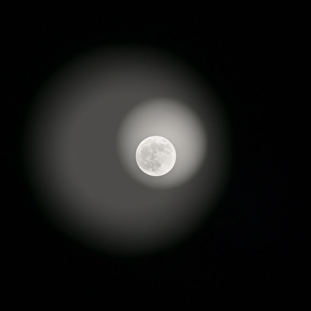 Image of the moon in a black sky. 