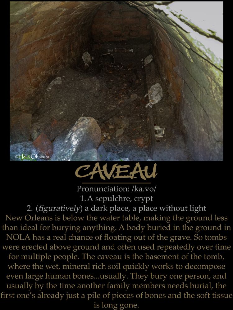 2 panel photo "infomatic" titled "Caveau". Photo is of the inside of a tomb in New Orleans that was already opened. It's a tubular brick structure with a rectangular concrete frame at ground level, and apparently a dirt floor. Various debris is seen inside, including bricks, stones, dirt, pieces of concrete and clay. Possibly a human long bone and skull cap, but these details are not clear in this photo. A few dollars and coins lie just inside the tomb on the right hand side, presumably an offering to the displaced spirit or spirits that once occupied this grave. 