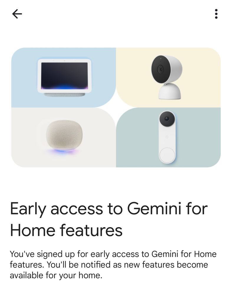 Screenshot of the Google Home Early Access program.