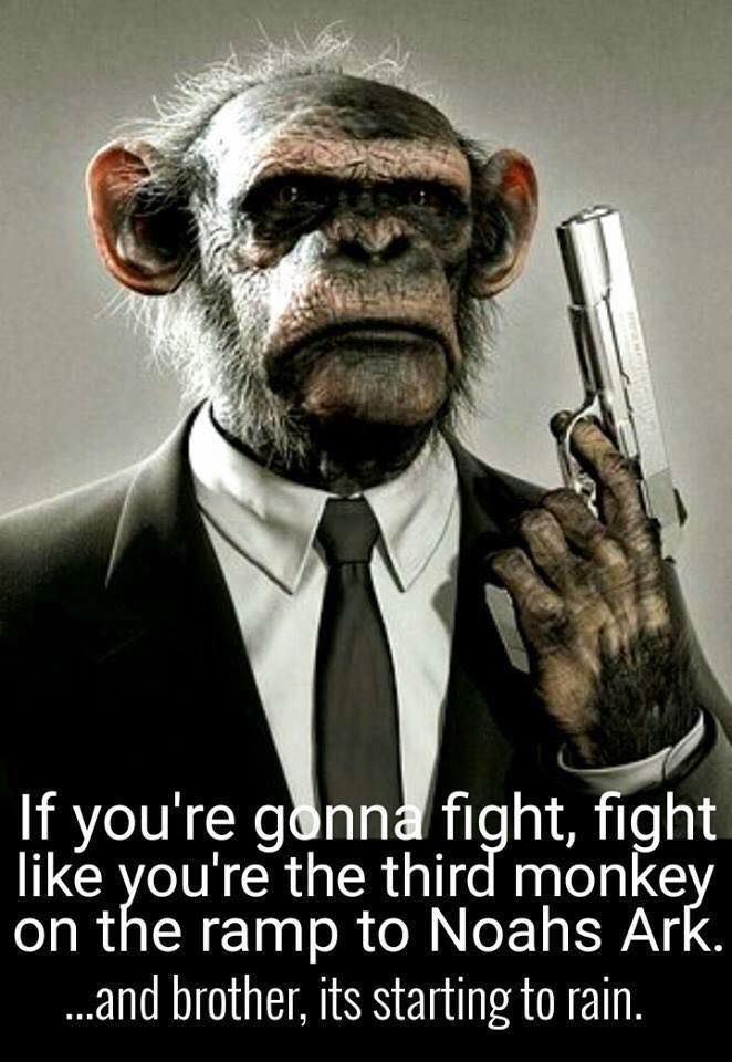 A chimpanzee in a suit holding a gun with a quote beneath. The quote says “if you’re gonna fight, fight like you’re the third monkey on the ramp to Noah’s Ark and brother it’s starting to rain.”