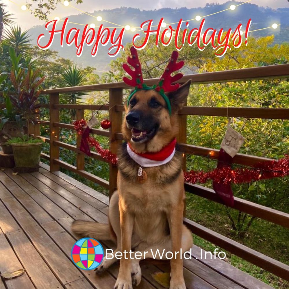 #PeaceOnEarth #MerryChristmas #GreenChristmas #EthicalChristmas #AntiConsumerism #Philanthropy #ChristmasAppeal2024 

Foto by Rachael Mellor in Guatemala. 
Copyright: Better World Info