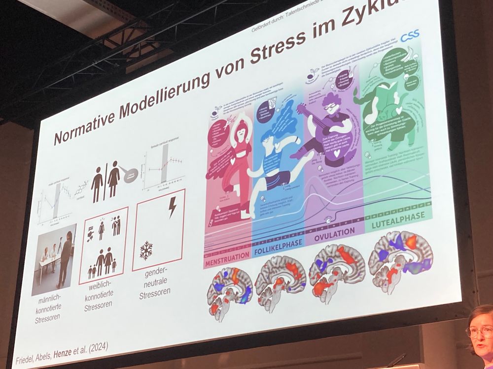 Presentation slide showing that we need different stress paradigms according to gender; and that stress measurement should take into consideration the menstrual cycle phase