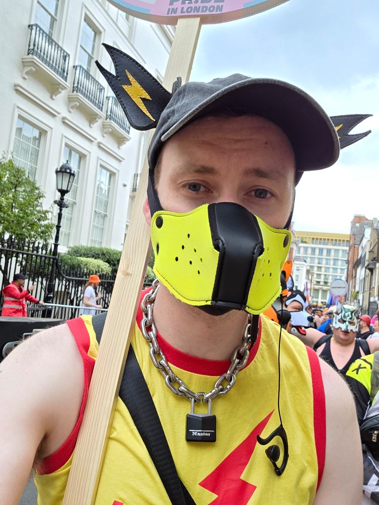 Sparky in his yellow lightning bolt ear cap and yellow muzzle