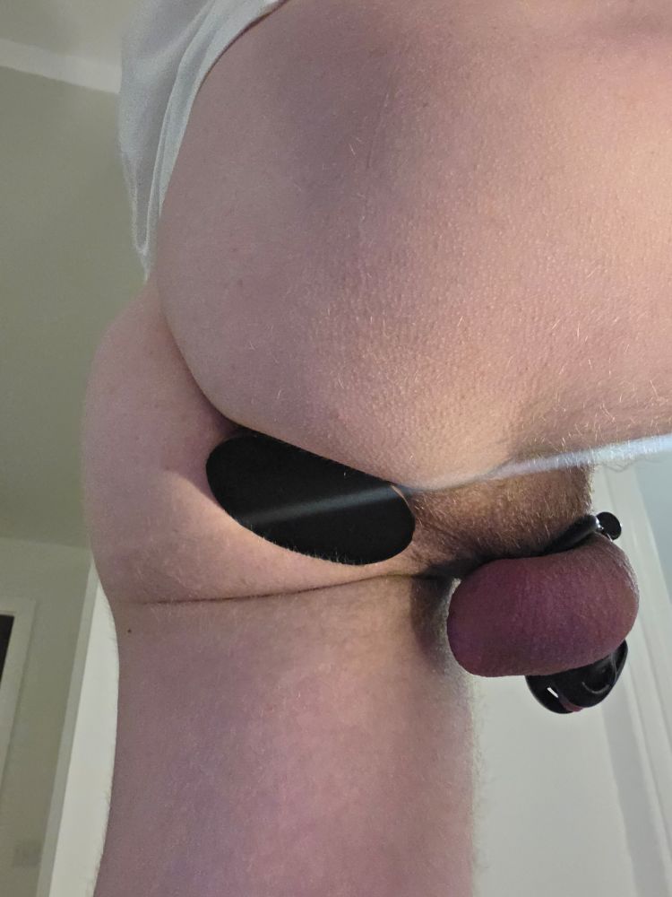 Sparky nude with a plug (again)