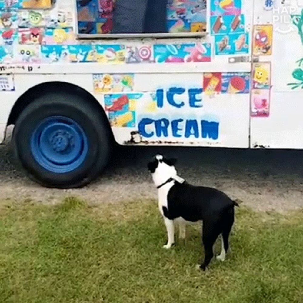 a black and white dog is standing in front of a ice cream truck .