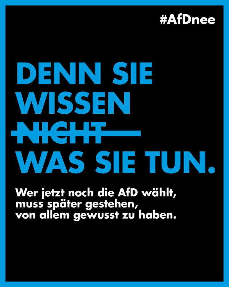 Denn sie wissen nicht (durchgestrichen), was sie tun.
Wer jetzt noch die AfD wählt, muss später gestehen, von allem gewusst zu haben.