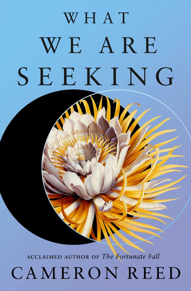 Cover of WHAT WE ARE SEEKING by Cameron Reed. On a blue background, a circle containing an orange-and-white cactus flower eclipses a black circle.