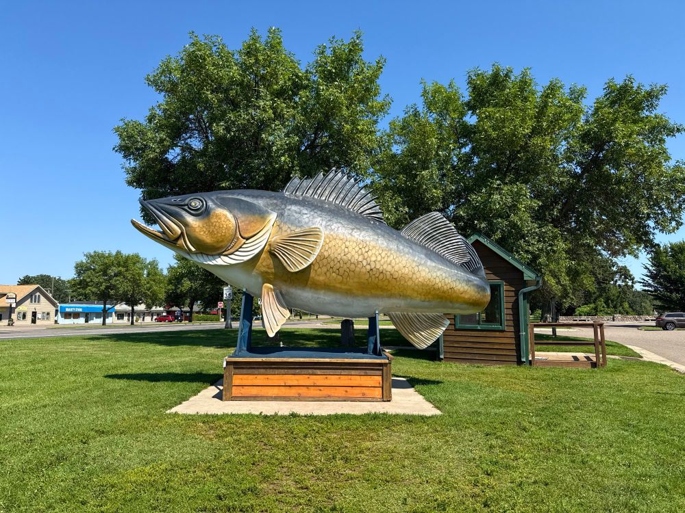 Photograph of the big fish statue in Garrison Minnesota on a sunny day under a blue sky. 