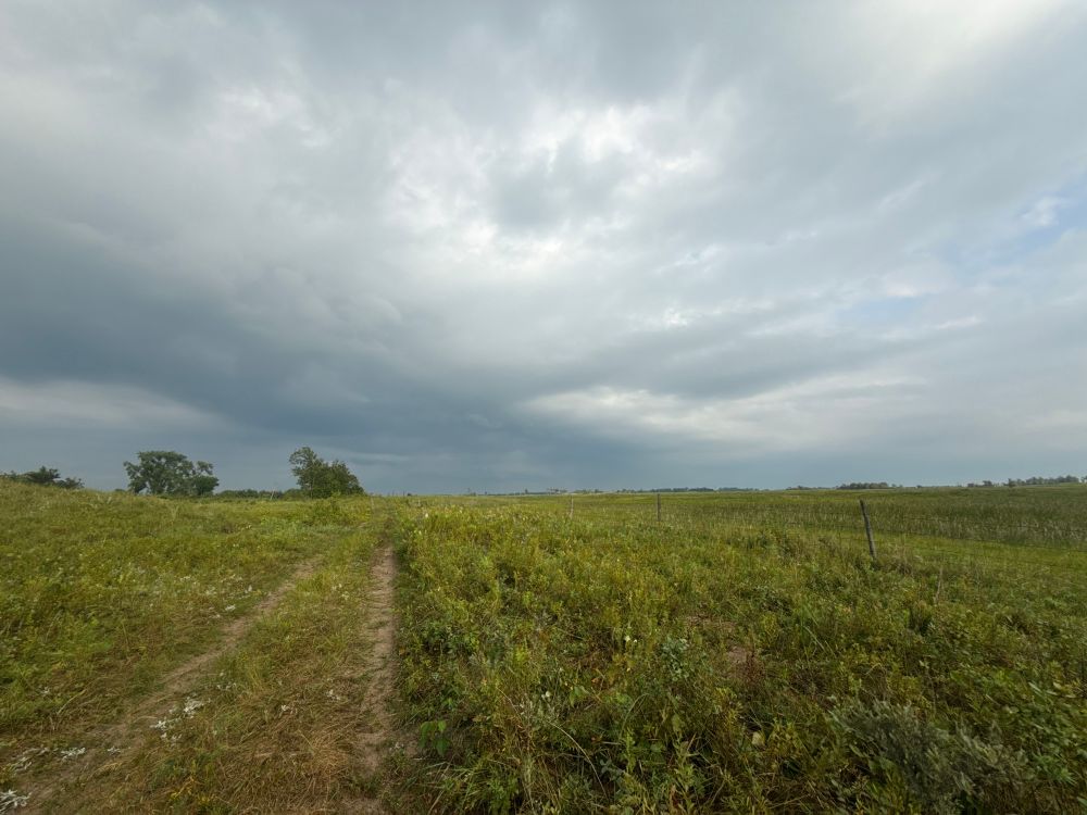 Photograph of grey and white clouds over green wild grassland with a few trees visible along the horizon. 