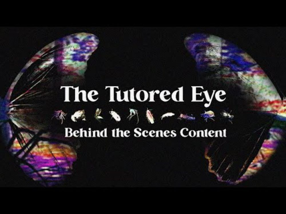 The Tutored Eye: Urbex Bonus Material and Audio Collage - S4G 2025