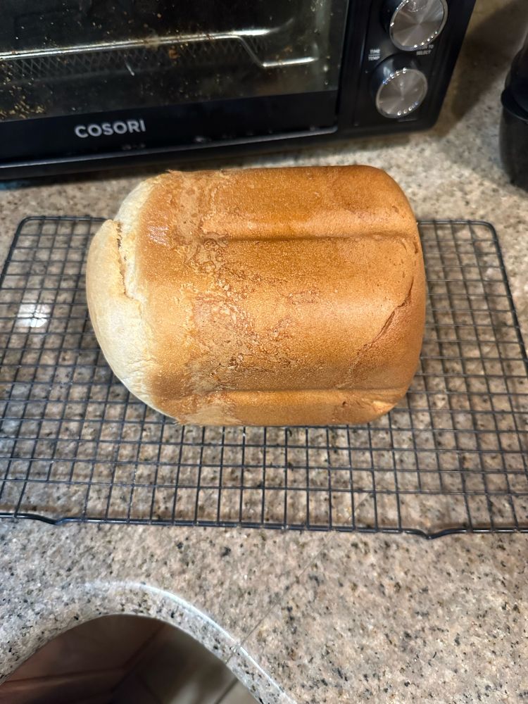 A fresh loaf of white bread on a cooling rack on a kitchen counter
