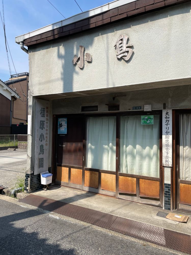 小鳥　と塀に書かれたカナリヤの小売店。もう営業はしていないようで、木枠にガラスが嵌め込まれた扉が閉じられていて、カーテンが掛かっているため中は見えない状態。