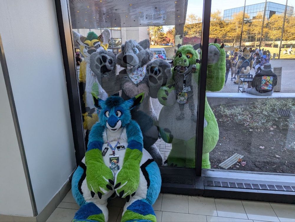 An angry Pineapple fox, hugwuff and Paradise standing outside behind a window while Quazar sits comfortably inside 