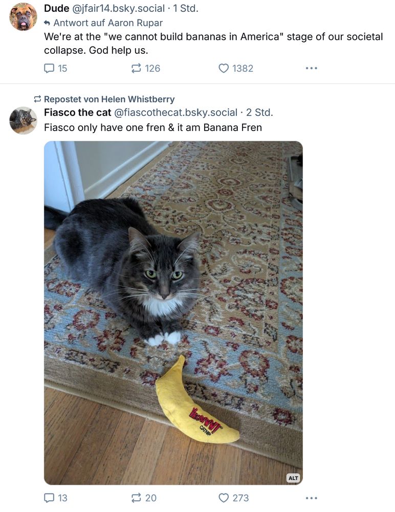 A screenshot from Bluesky. The upper skeet says "We're at the 'we cannot build bananas in America' stage of our societal collapse. God help us." The lower skeet shows a photo of a cat in front of a toy banana. 