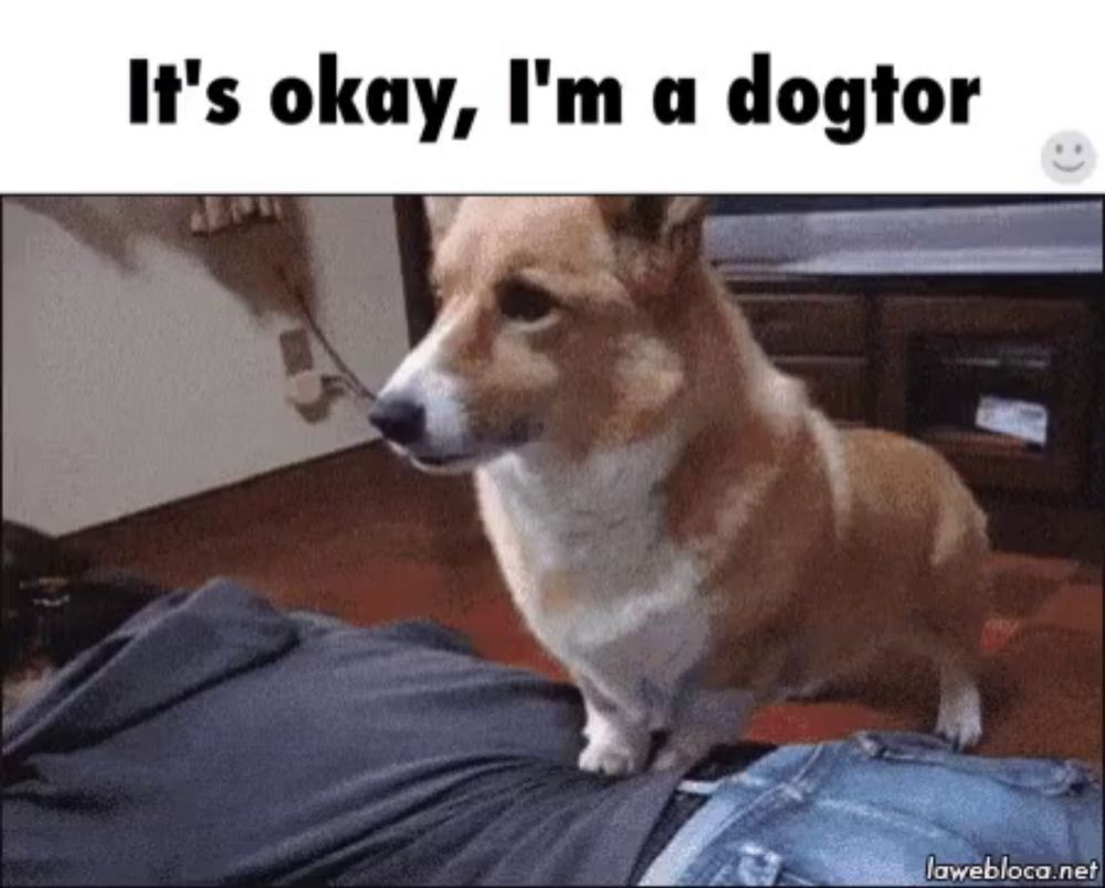 a dog is standing on a person 's leg and says it 's okay i 'm a dogtor .