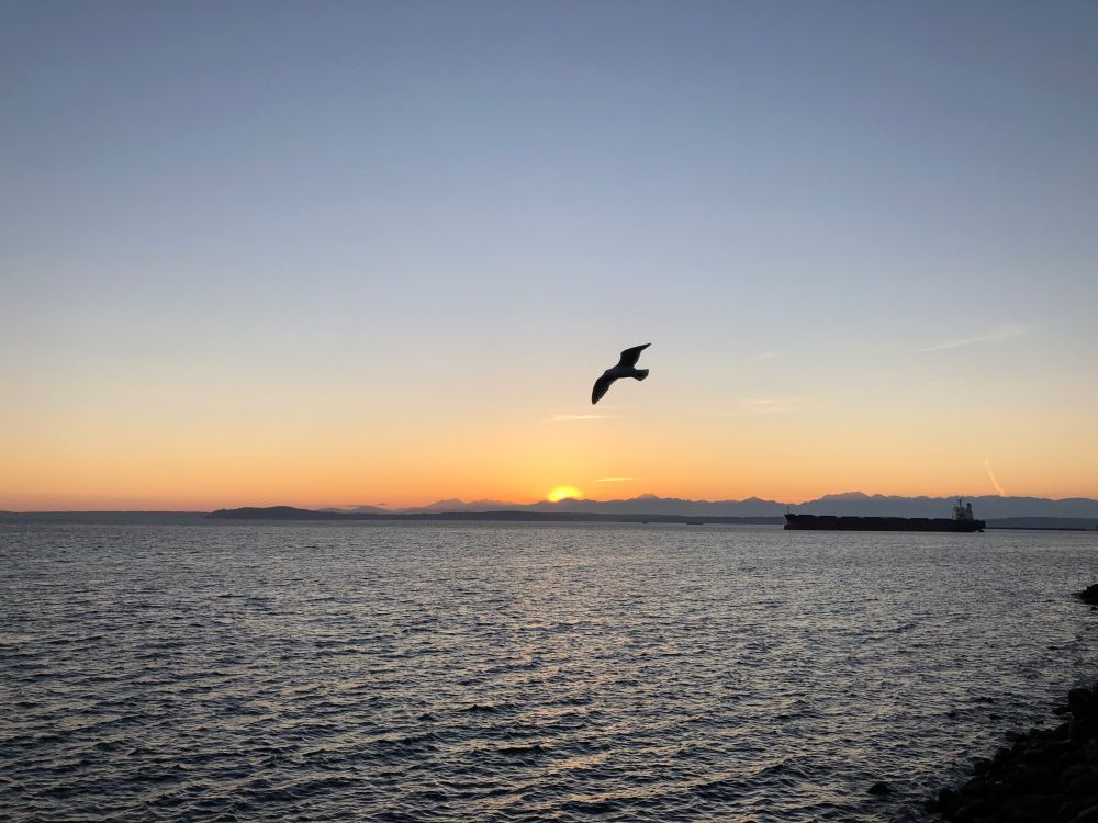 The sun setting behind distant mountains, over calm water in shadow. Taken from the Olympic Sculpture Park, looking west at sunset, on a clear day.